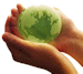 greenlogo